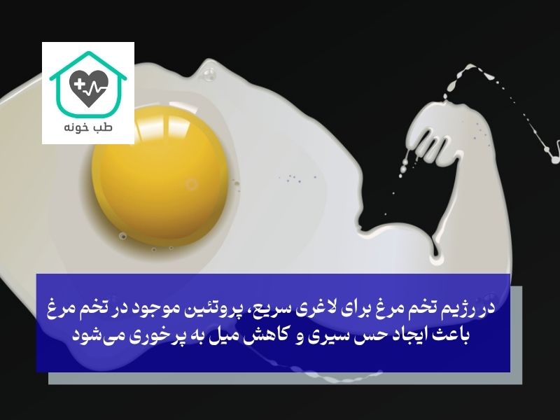 نقش پروتئین در رژیم تخم مرغ برای لاغری سریع