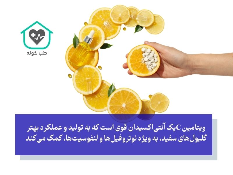 ویتامین‌ها و مواد معدنی کلیدی؛ ستون‌های اصلی یک سیستم ایمنی قوی