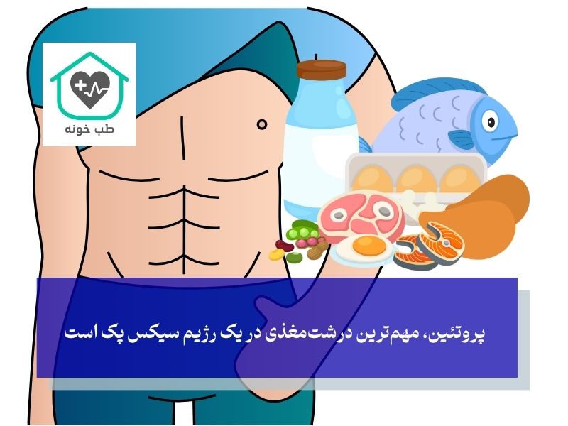 پروتئین، پادشاه درشت‌مغذی‌ها؛ چرا باید پروتئین کافی بخورید