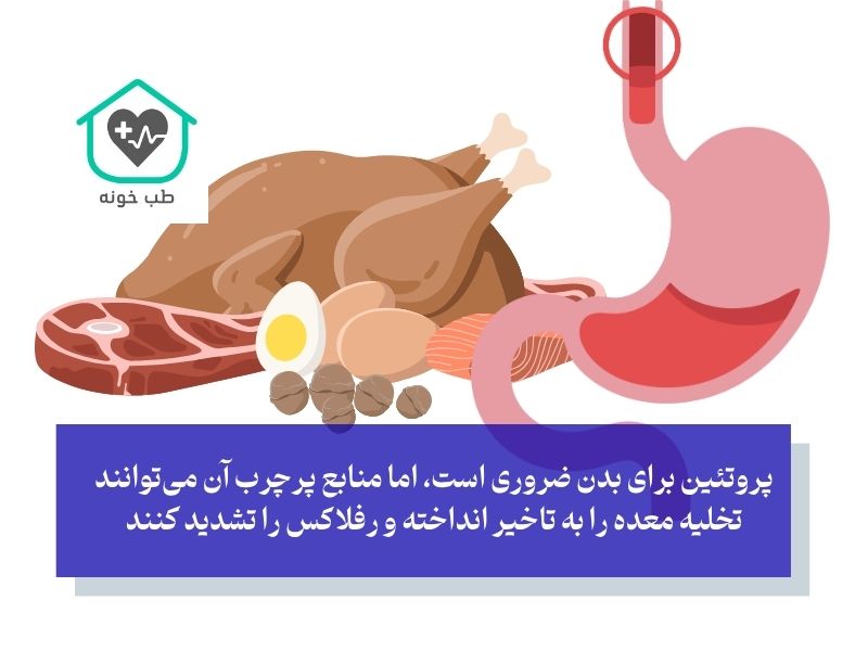 پروتئین‌های بدون چربی؛ ساخت عضله بدون تحریک معده