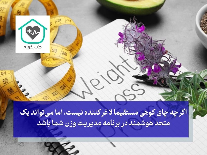 چای کوهی برای لاغری و مدیریت وزن؛ واقعیت یا یک باور اشتباه