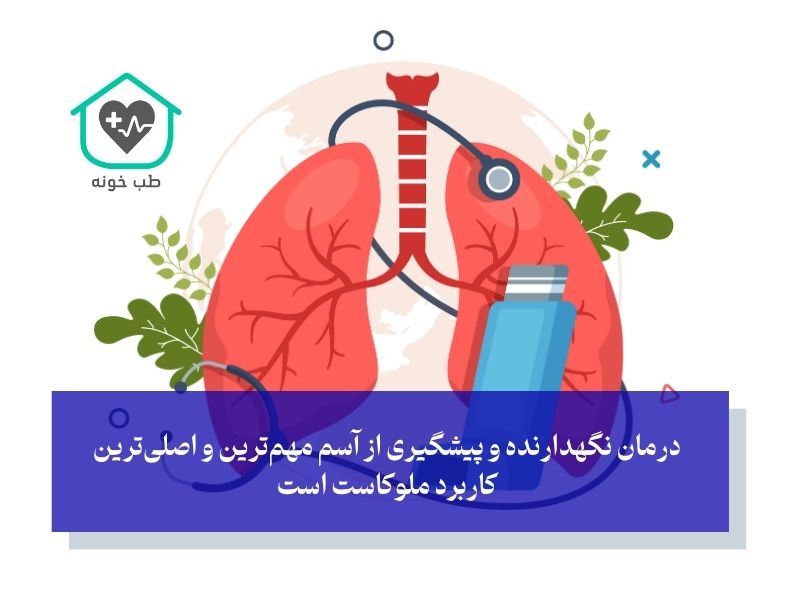 کاربردهای اصلی ملوکاست