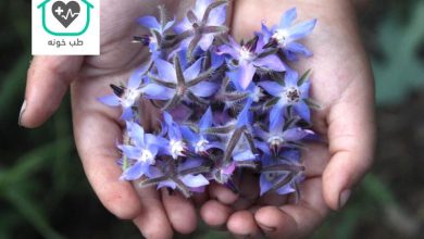 گل گاوزبان برای چی خوبه