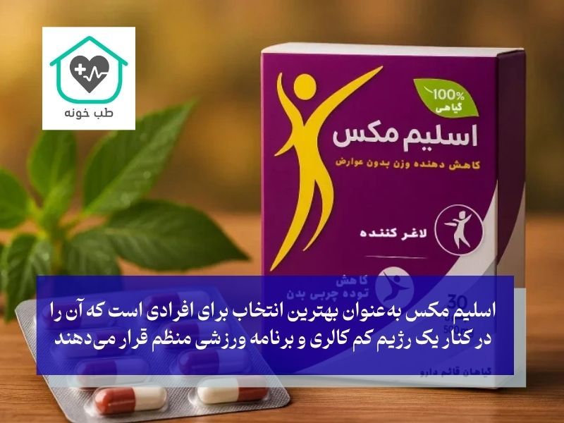 اسلیم مکس برای چه کسانی بهترین انتخاب است