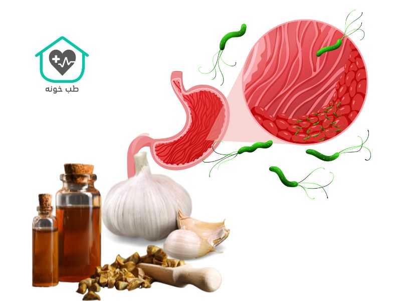 داروی گیاهی برای کشتن میکروب معده