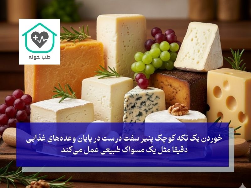 راهنمای انتخاب بهترین پنیر برای دندان