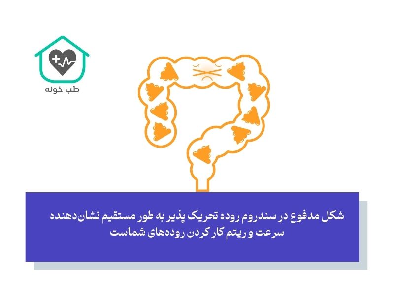 شناخت وضعیت روده‌ها