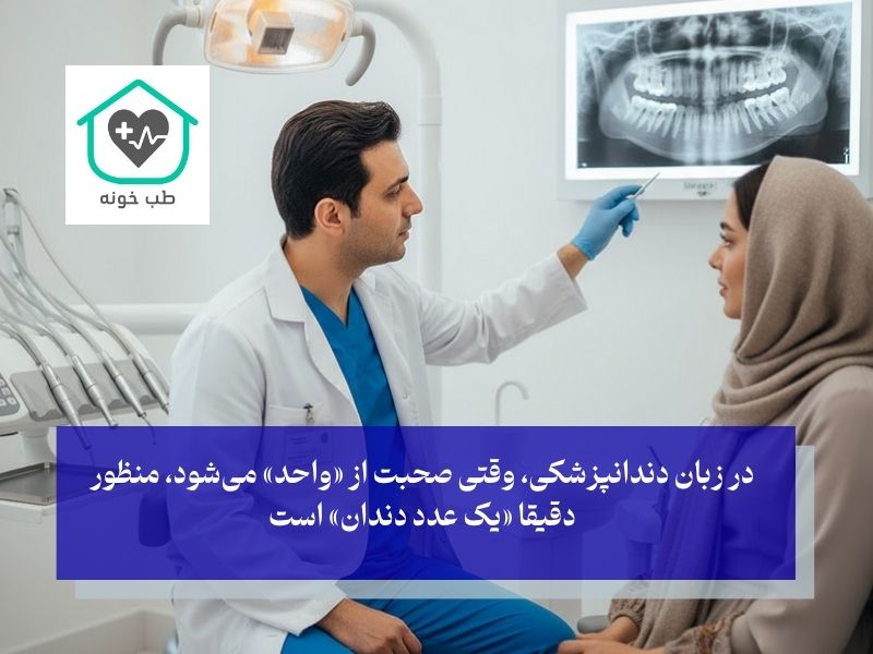 هر واحد دندان یعنی یک عدد دندان