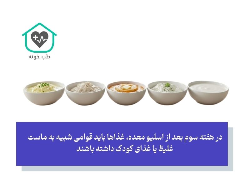 هفته سوم و چهارم (دوران پوره‌ها و تغییر بافت غذا)