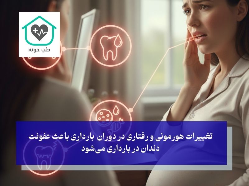 چرا دندان‌ها در بارداری آسیب‌پذیر می‌شوند