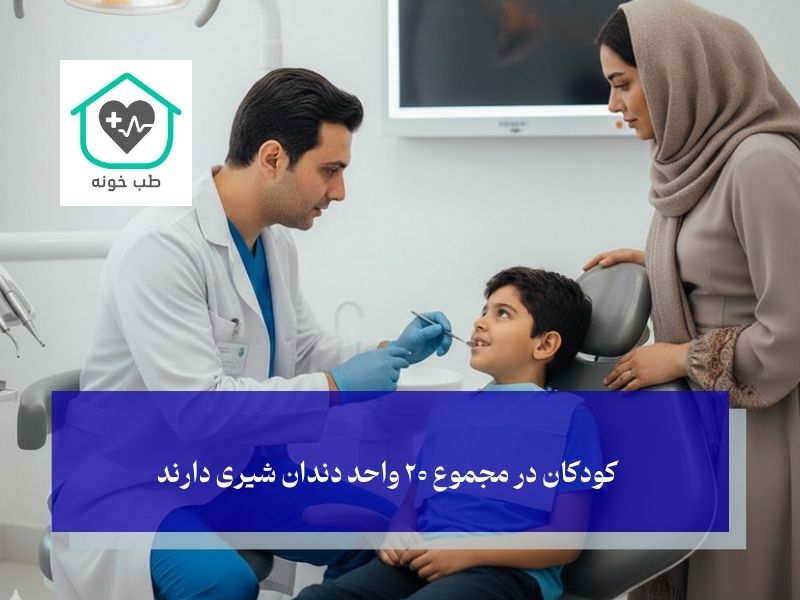 چند واحد دندان در دهانمان داریم