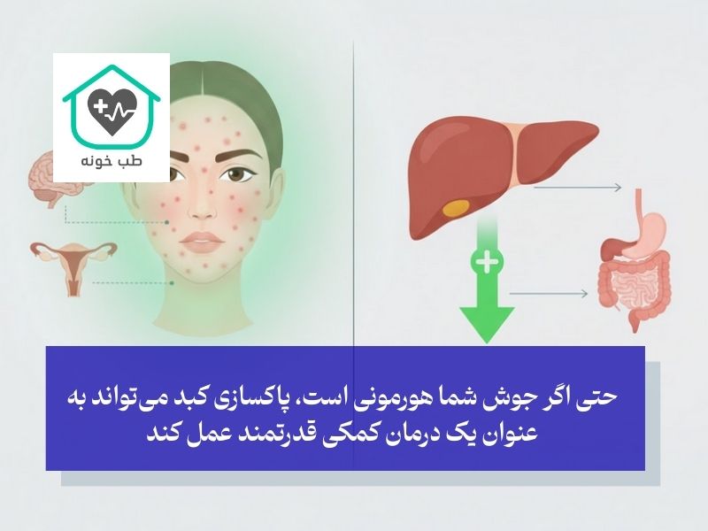 آیا ارتباطی بین کبد چرب و هورمون‌ها وجود دارد