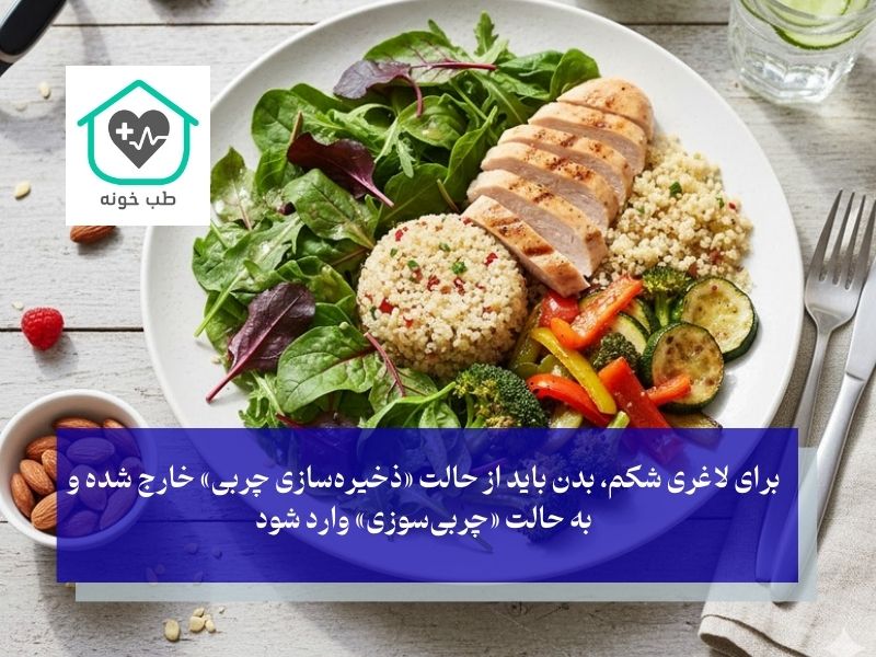برای لاغری شکم چی بخوریم