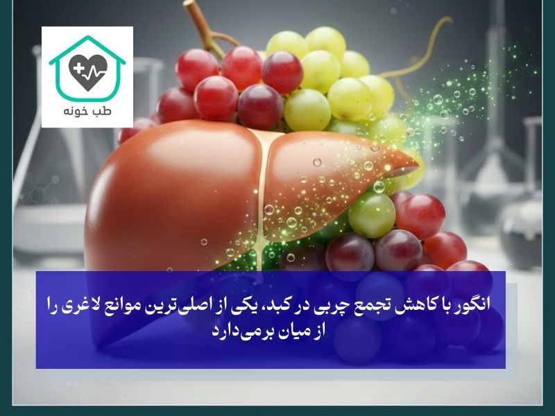 تاثیر انگور بر ژنتیک و کبد چرب