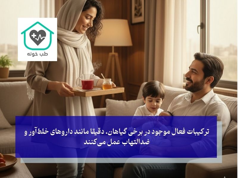 دمنوش برای پاکسازی ریه از آلودگی هوا