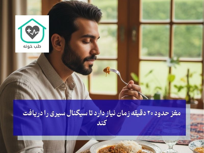 سبک زندگی ضد چربی شکم