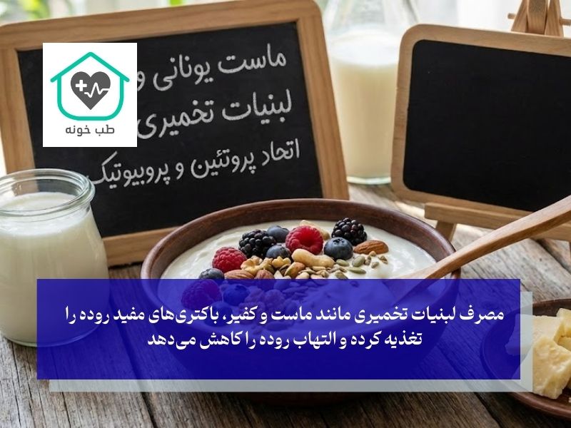 ماست یونانی و لبنیات تخمیری؛ اتحاد پروتئین و پروبیوتیک