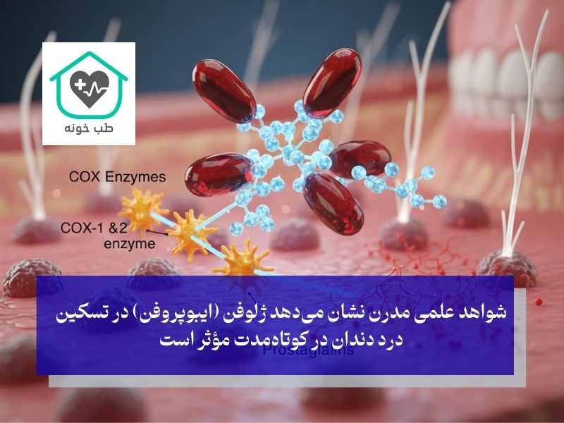 مکانیسم اثر ژلوفن در درد دندان