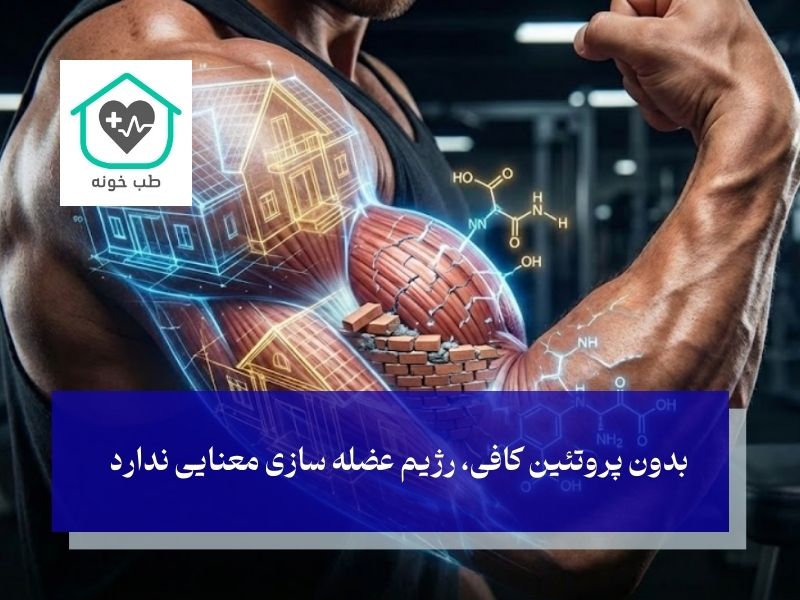 پروتئین؛ معمار و سازنده اصلی بافت عضله