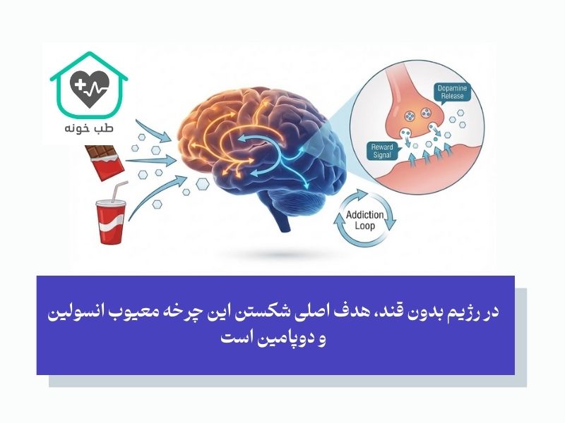 چرا بدن ما معتاد به قند می‌شود؟ بررسی علمی مکانیسم هوس