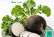 تصویر شاخص ترب سیاه با برگ و برش‌های تازه