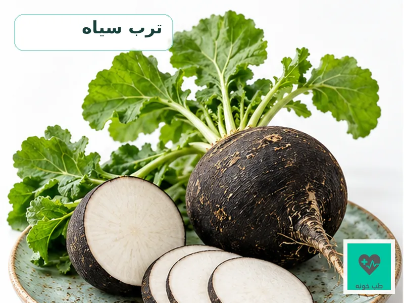 تصویر شاخص ترب سیاه با برگ و برش‌های تازه