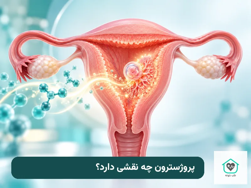 نقش پروژسترون در حمایت از پوشش رحم در بارداری