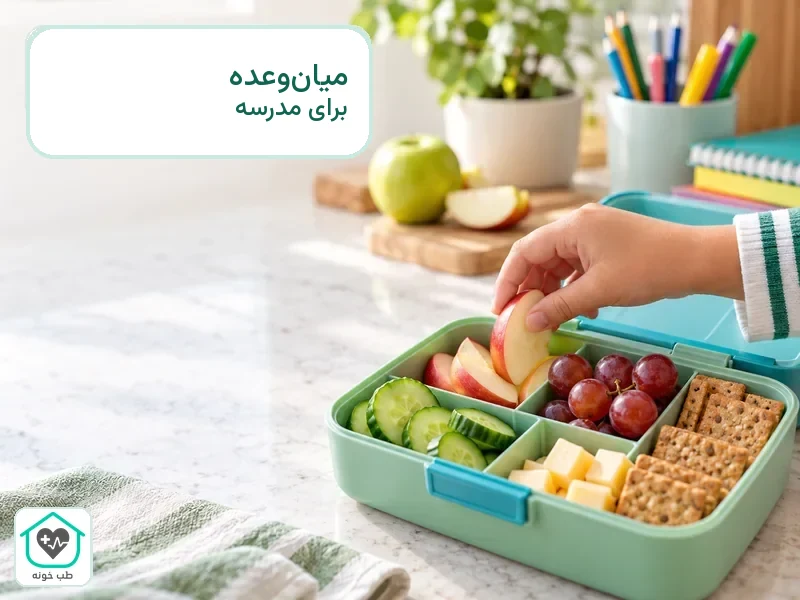 جعبه غذای مدرسه شامل میوه، خیار، پنیر و نان سبوس‌دار