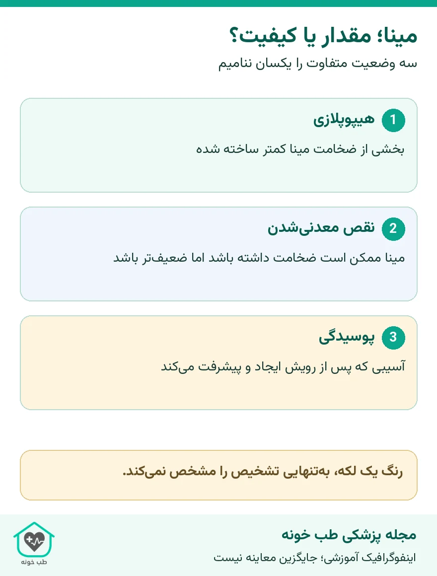 مینا؛ مقدار یا کیفیت؟؛ سه وضعیت متفاوت را یکسان ننامیم