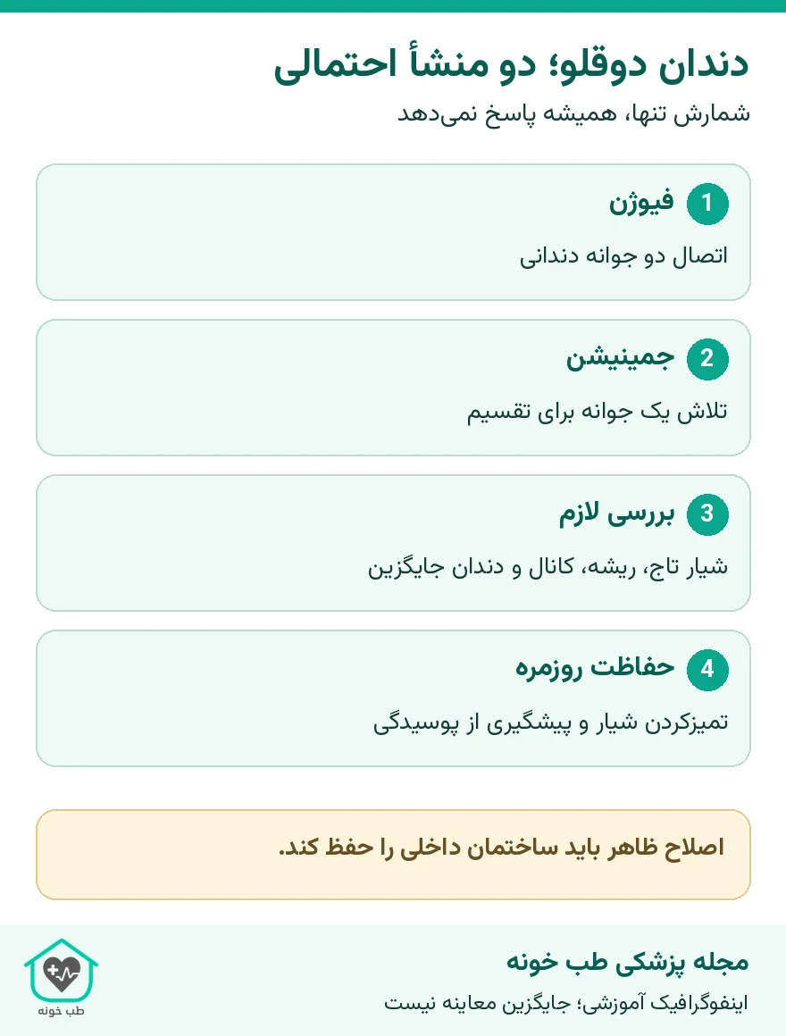 دندان دوقلو؛ دو منشأ احتمالی؛ شمارش تنها، همیشه پاسخ نمیدهد