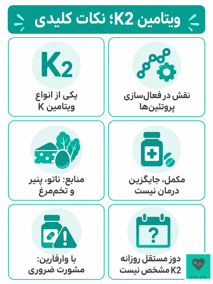 اینفوگرافیک شش نکته درباره ویتامین K2، منابع غذایی، محدودیت مکمل و تداخل با وارفارین