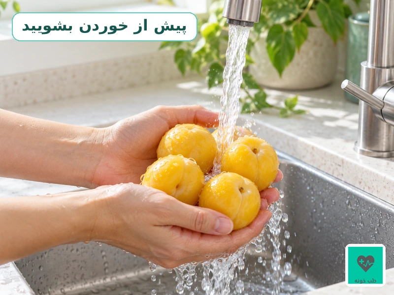 شستن آلوهای زرد تازه زیر آب روان پیش از مصرف